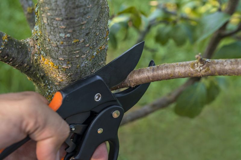 Tree Pruning and Shaping