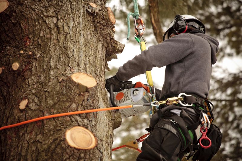 Safety Equipment for Trimming