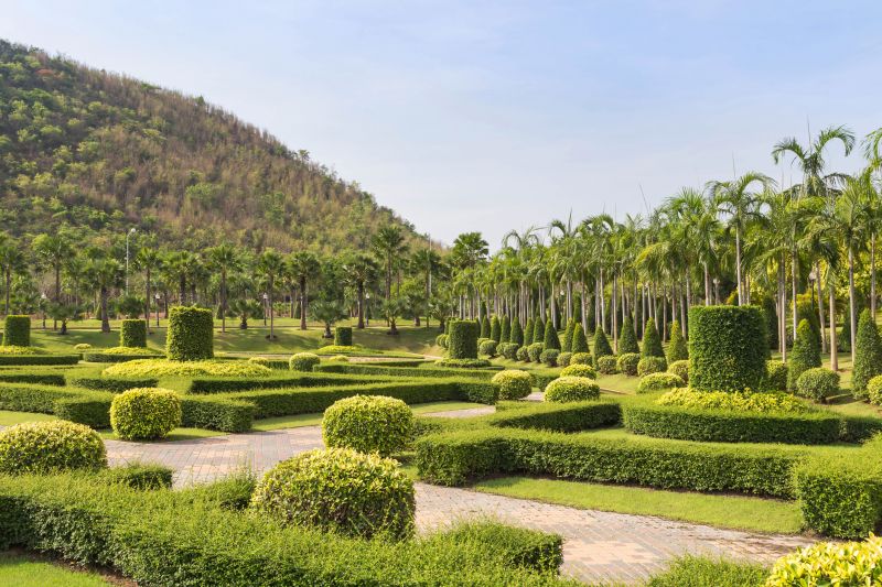 Landscaping Tree Maintenance